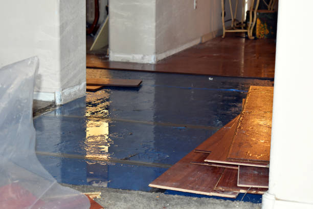 Professional Burst Pipe Cleanup technician working in Huntington, WV